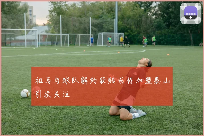 祖马与球队解约获赔或将加盟泰山引发关注