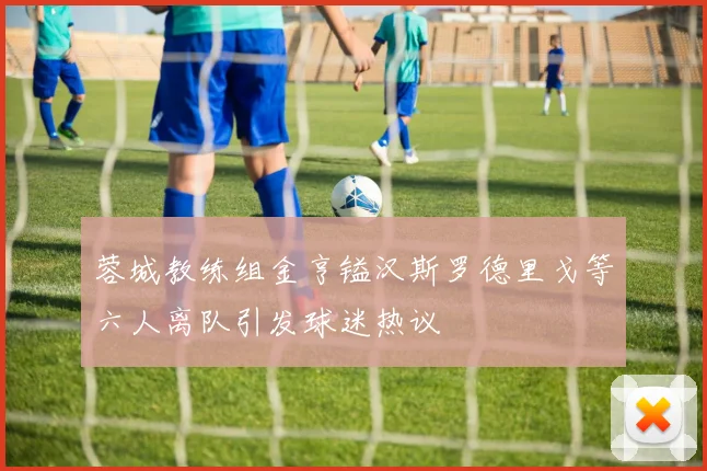 蓉城教练组金亨镒汉斯罗德里戈等六人离队引发球迷热议